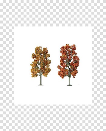 O scale Tree American sycamore Pine Autumn, tree transparent background PNG clipart