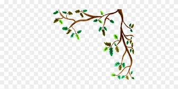 Oak, Branch, Watercolor, Isolated - Tree Branches Painted Png