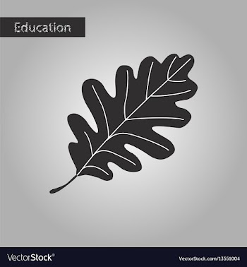 Oak leaf black and white style icon vector image