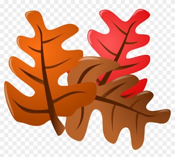 Oak Leaf Clip Art For Kids - Thanksgiving Icon Transparent