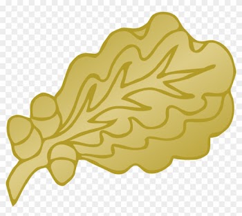 Oak Leaf Cliparts - Bronze Oak Leaf Cluster