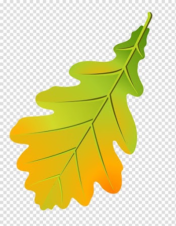 Oak leaf cluster Tree Leaflet Autumn leaf color, Leaf transparent background PNG clipart