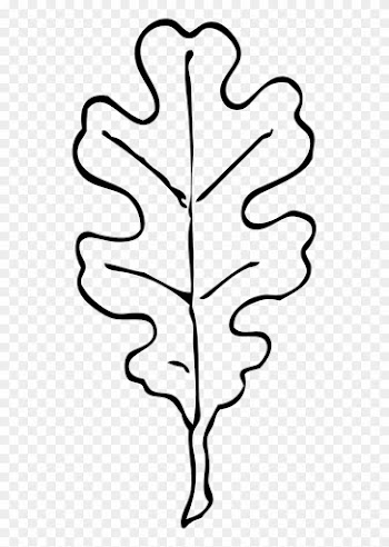 Oak Leaf Coloring Page Clipart Free To Use Clip Art - Oak Leaf Clip Art Black And White