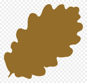Oak Leaf Foliage Greenery Tree Forest Autumn - Brown Leaf Clip Art Png