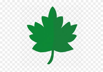 Oak Leaf Icon - Printable Leaves For Thankful Tree