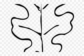 Oak Leaf Outline - Oak Leaf Outline