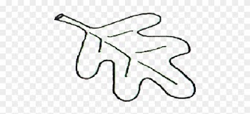 Oak Leaf Pattern Printable Leaves Coloring Pages - Oak