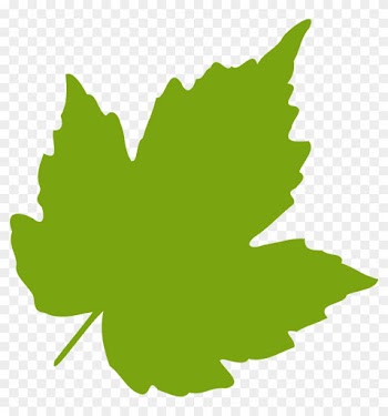 Oak Leaves Clip Art Birch Clipart Feuille Leaf 04 Vector - Leaves Svg