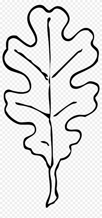 Oak - Leaves - Coloring - Pages - Oak Leaf Clip Art