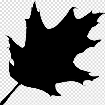 Oak Silhouette Tree , black transparent background PNG clipart