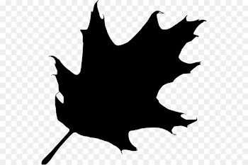 Oak Silhouette Tree Clip art - black leaf 