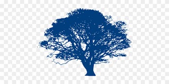 Oak Tree Branches Tall Nature Silhouette W - Black And White Tree Clipart