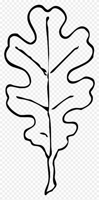 Oak Tree Clip Art Silhouette - Oak Leaf Clip Art Black And White