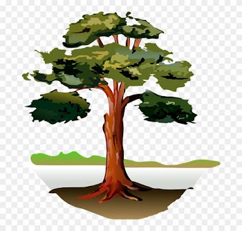 Oak Tree Clipart 12, Buy Clip Art - Clipart Tree By River