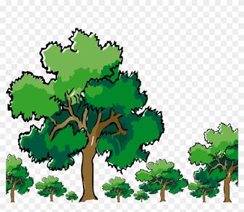 Oak Tree Clipart 20, - Oak Tree Clip Art