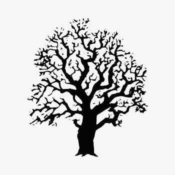 Oak tree collage element illustration | Free Vector - rawpixel