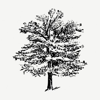 Oak tree collage element, vintage | Free PSD - rawpixel