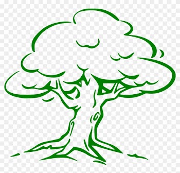 Oak Tree Drawing Easy