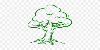 Oak, Tree, Green, Forest, Nature, Eco - Simple Oak Tree Drawing