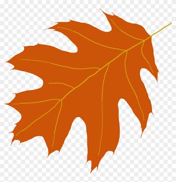 Oak Tree Leaf Clipart - Oak Leaves Clip Art