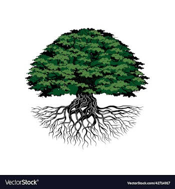 oak tree logo