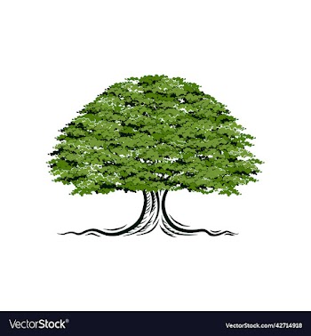oak tree logo