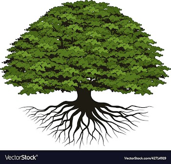 oak tree logo