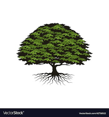 oak tree logo design