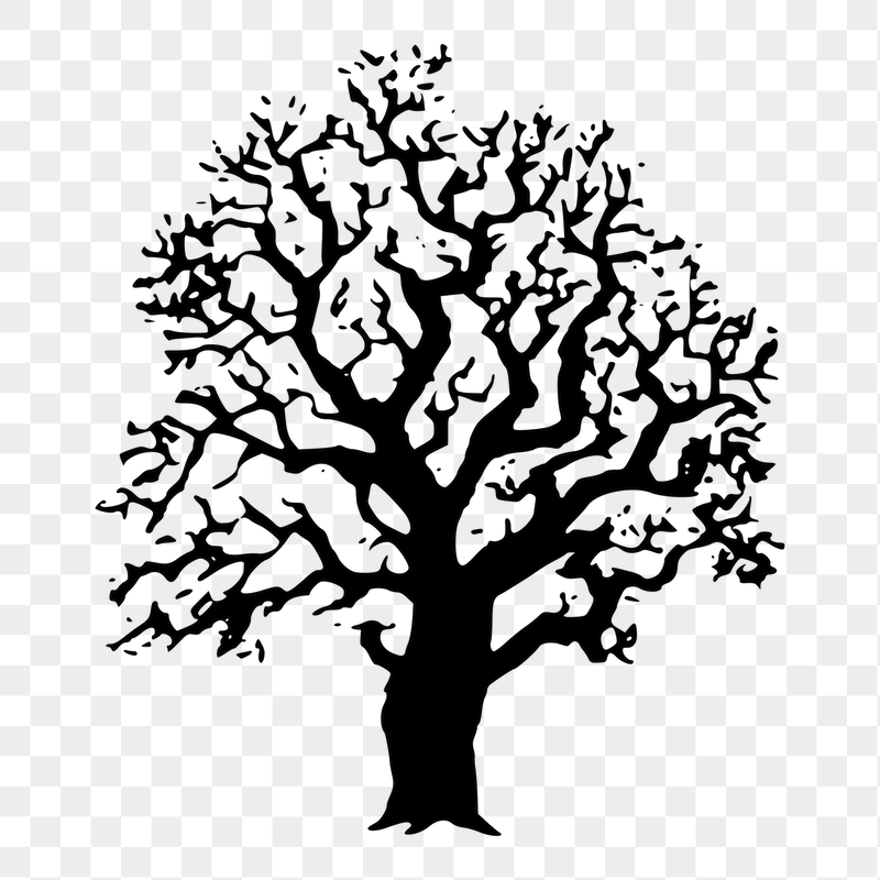 Oak tree png sticker illustration, | Free PNG - rawpixel