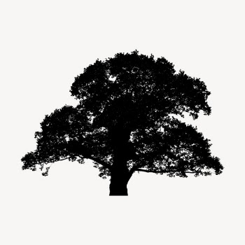 Oak tree silhouette clipart, nature | Free Vector - rawpixel