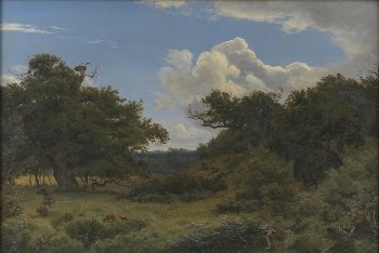 Oak trees in the Nordskoven | Free Photo - rawpixel