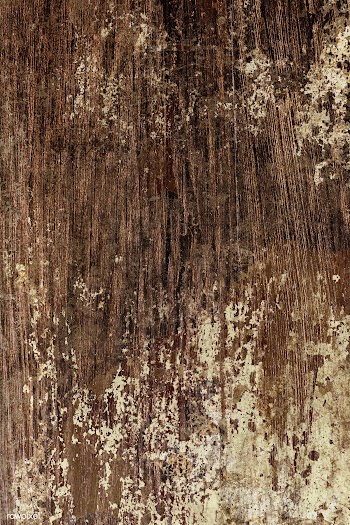 Oak wood textured background | Free  photo - 2252856