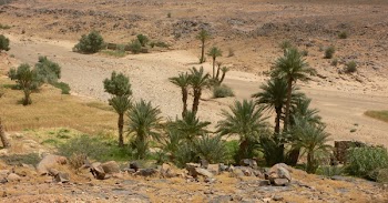 oasisCN_0602.jpg