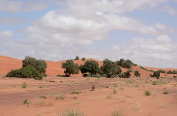 oasisCN_0640.jpg