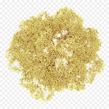 oat bran yellow celery salt plant food