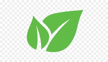 Obat tradisional Herb Therapy Green chiretta Health - plato business 