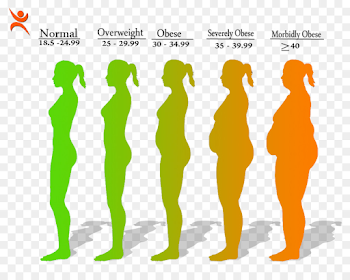 Obesity Body mass index Health Disease Weight - fat man png ...