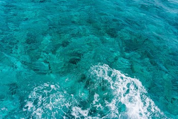 Ocean