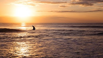 Ocean During Sunset