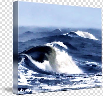 Ocean Marine mammal, abstract colour waves transparent background PNG clipart