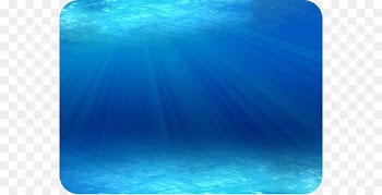 Ocean Marine mammal Marine biology Underwater Animal - Under the sea background 