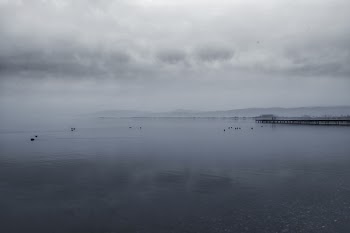 Ocean Under Cloudy Sky