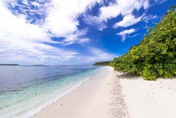 Ocean View