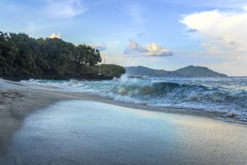 Ocean Waves Near Trees