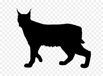 Ocelot Cat Lynxes Vector graphics Royalty-free -  