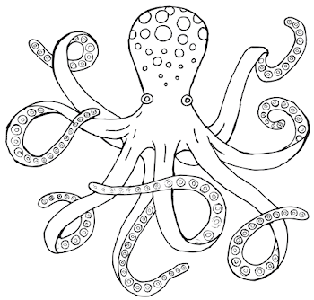 Octopus black and white octopus drawing black and white clipart ...