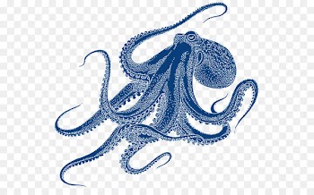 Octopus Clip art Image Portable Network Graphics Drawing - cephalopod insignia 