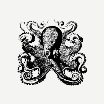 Octopus drawing clipart, vintage sea | Free PSD - rawpixel