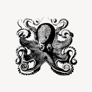 Octopus drawing clipart, vintage sea | Free Vector - rawpixel