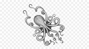 Octopus Drawing Sea monster Illustration - Black and white Octopus monster cartoon illustrations 